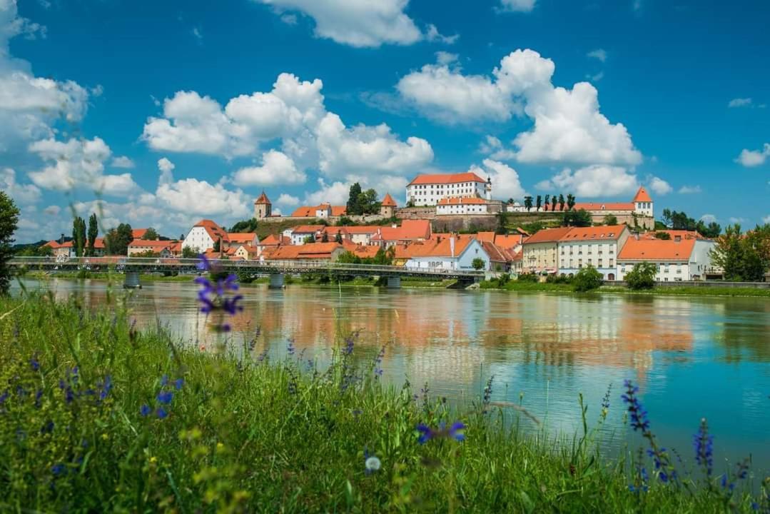 Apartment Luna Ptuj Exterior foto